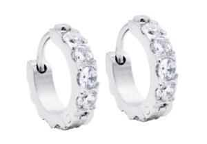Stainless Steel Hoop Earrings With Cubic Zirconia